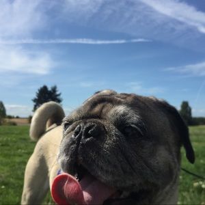 Meet your Posher, Michelle